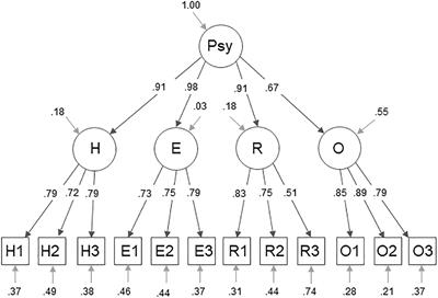 Validation of the revised Compound PsyCap Scale (CPC-12R) and its measurement invariance across the US and Germany